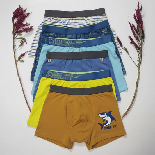 Lot de 6 Boxers Enfants  en Coton pour Garçons - Marque Espagnole -